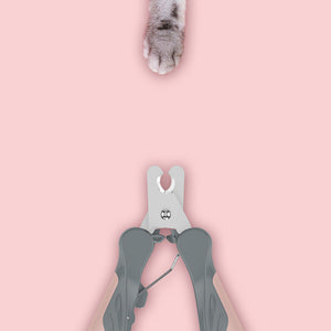 ea04df001ab9ce50a823ab0f6c524302
