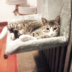 e801cbcfb321bee58988a16939f26428